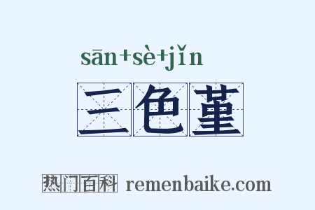 三色堇是什么意思的图片